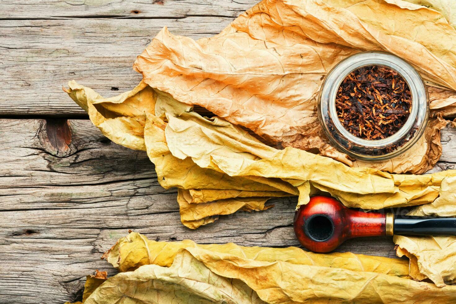 Smoking pipe with tobacco leaves photo