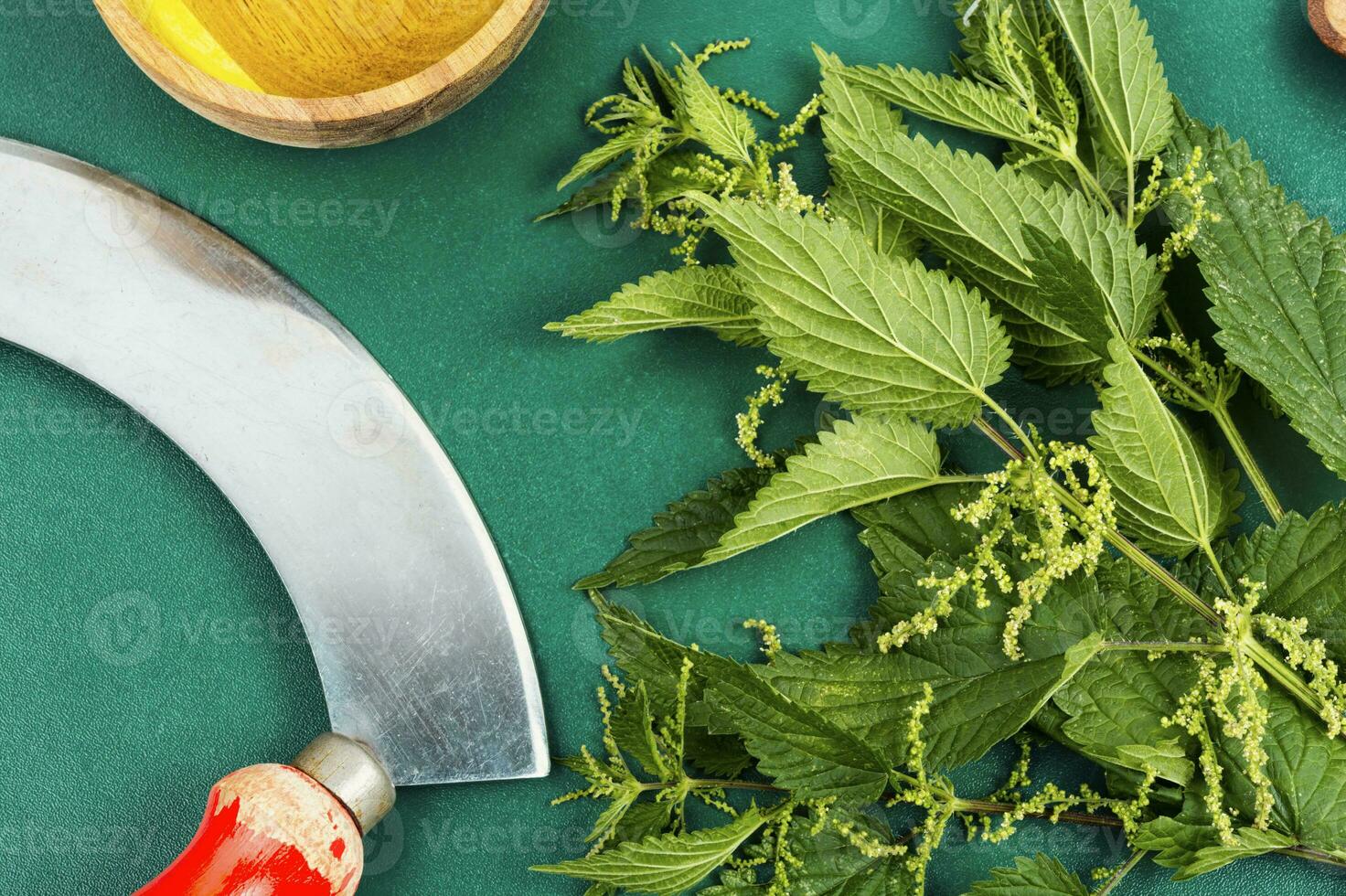 Fresh nettle leaves and knife. photo