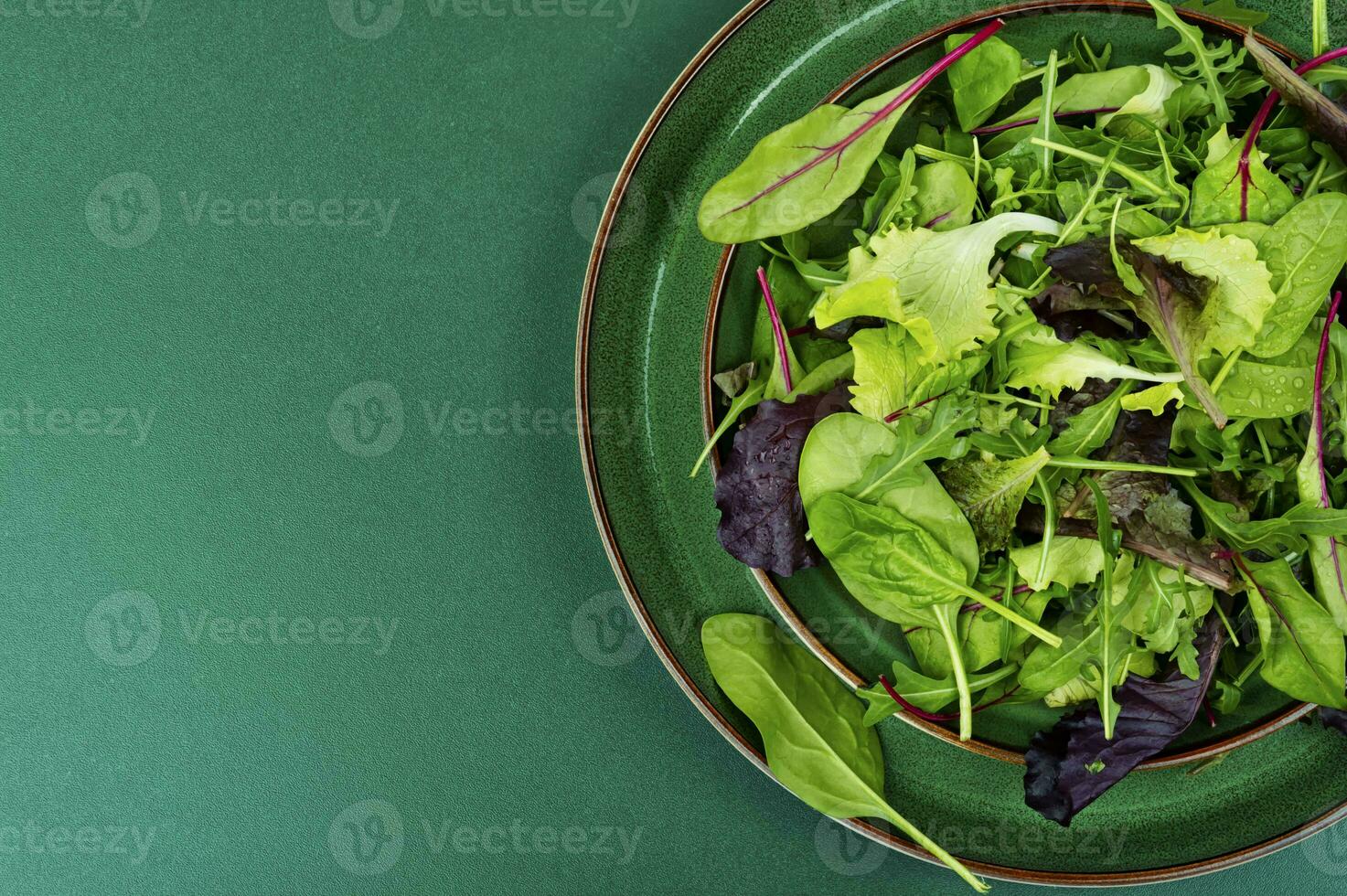 Greens raw lettuce salad, space for text. photo