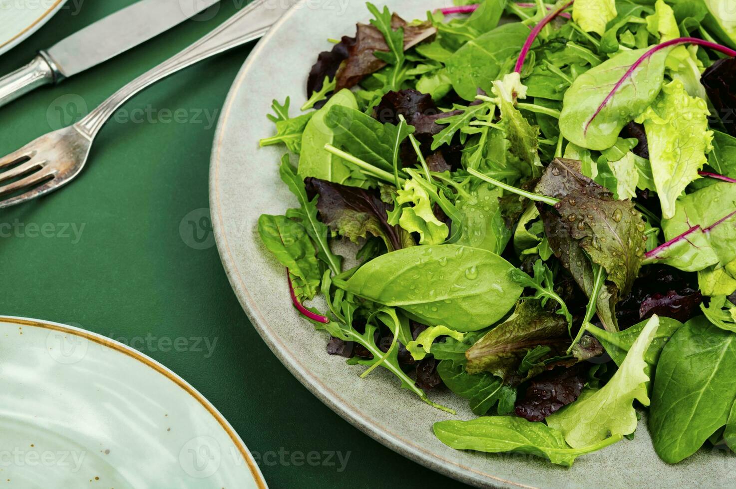 Greens vegetarian salad. photo