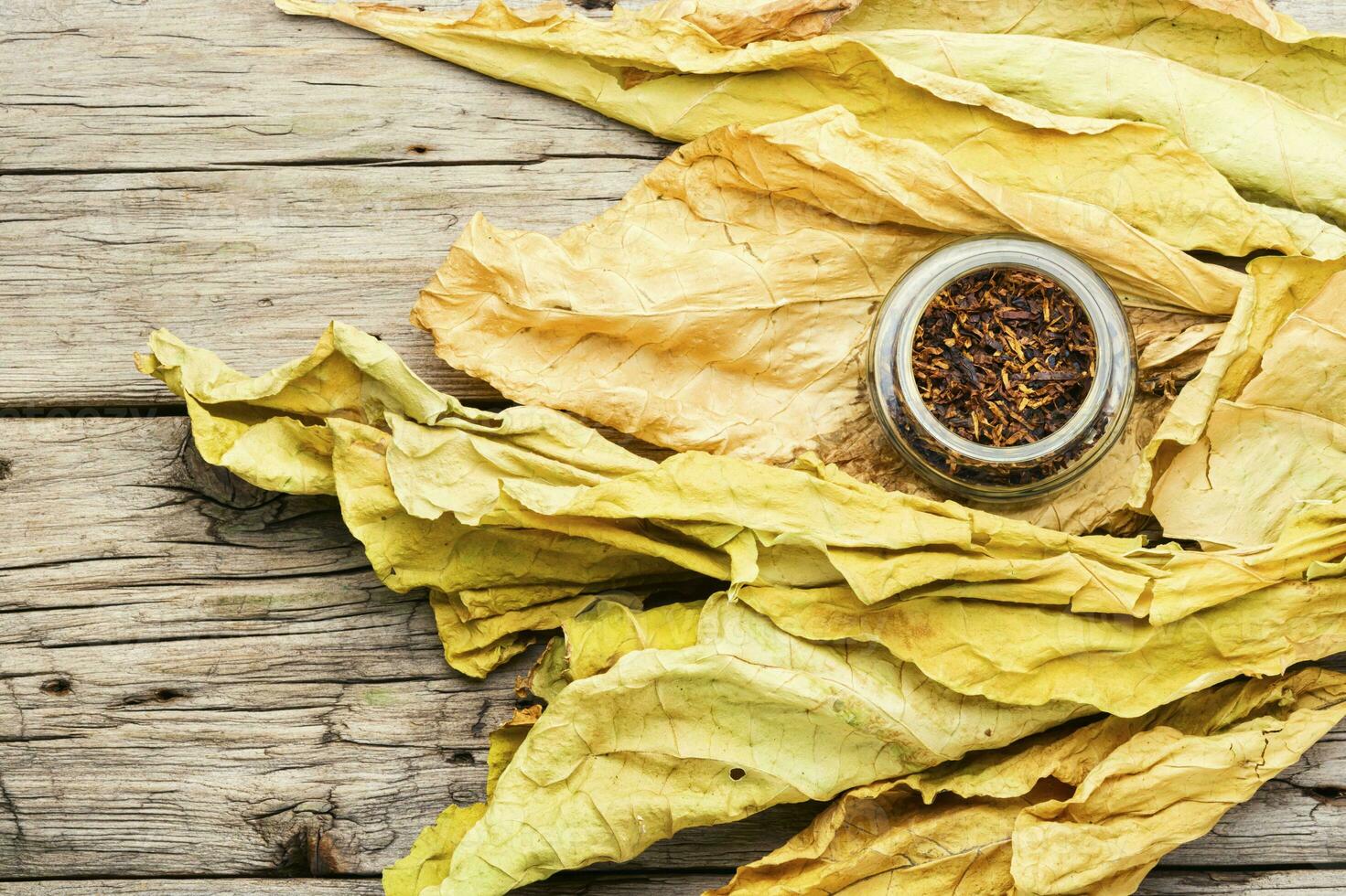 Smoking pipe with tobacco leaves photo