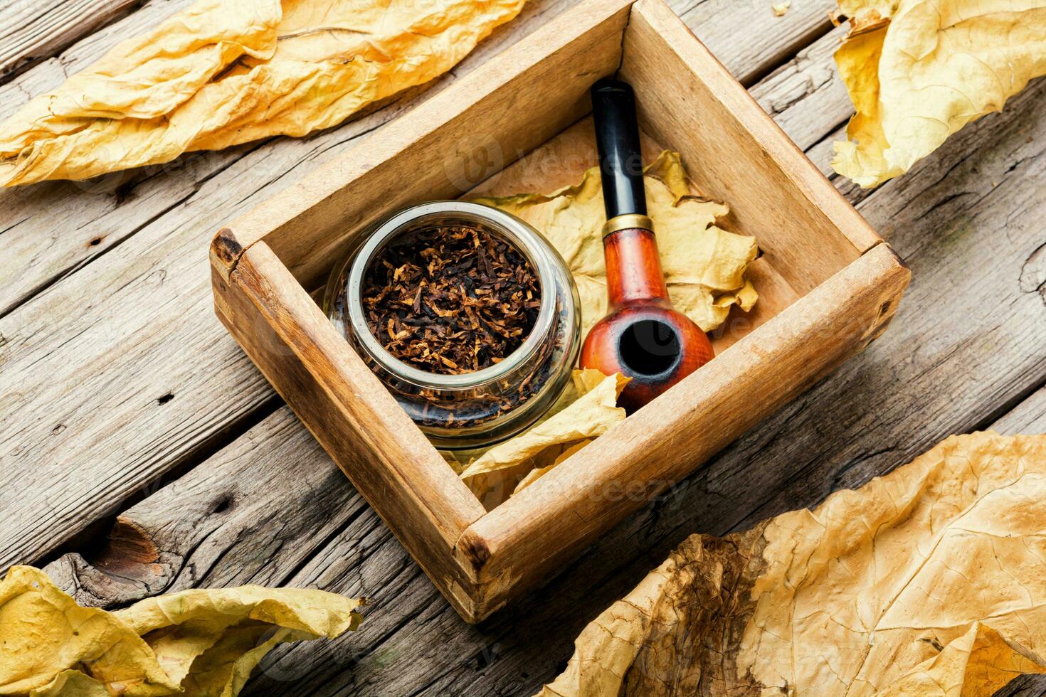 Smoking pipe with tobacco leaves photo