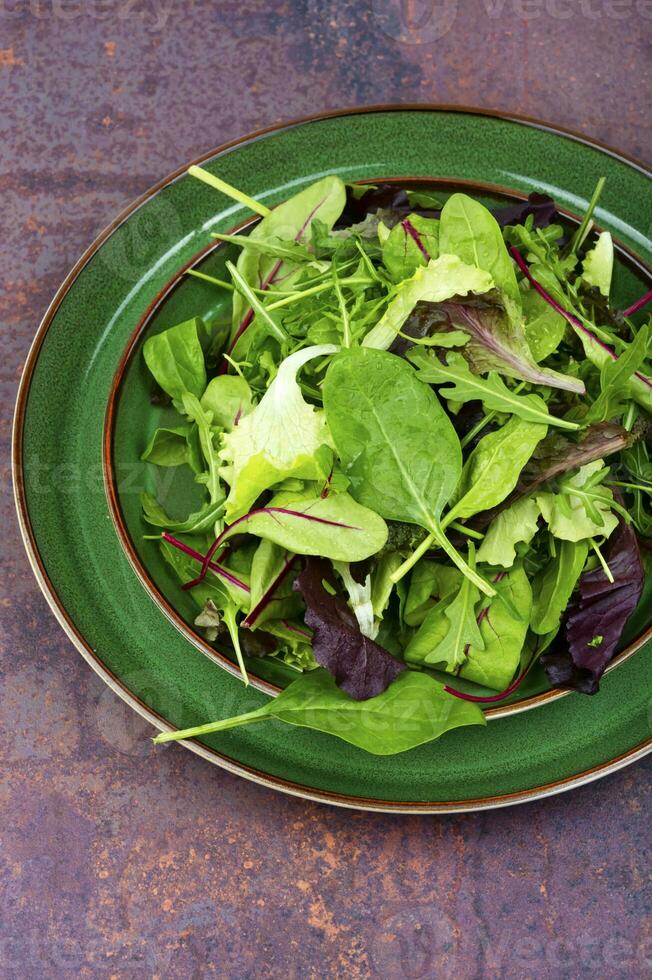Vegetarian raw diet salad, healthy eating. photo