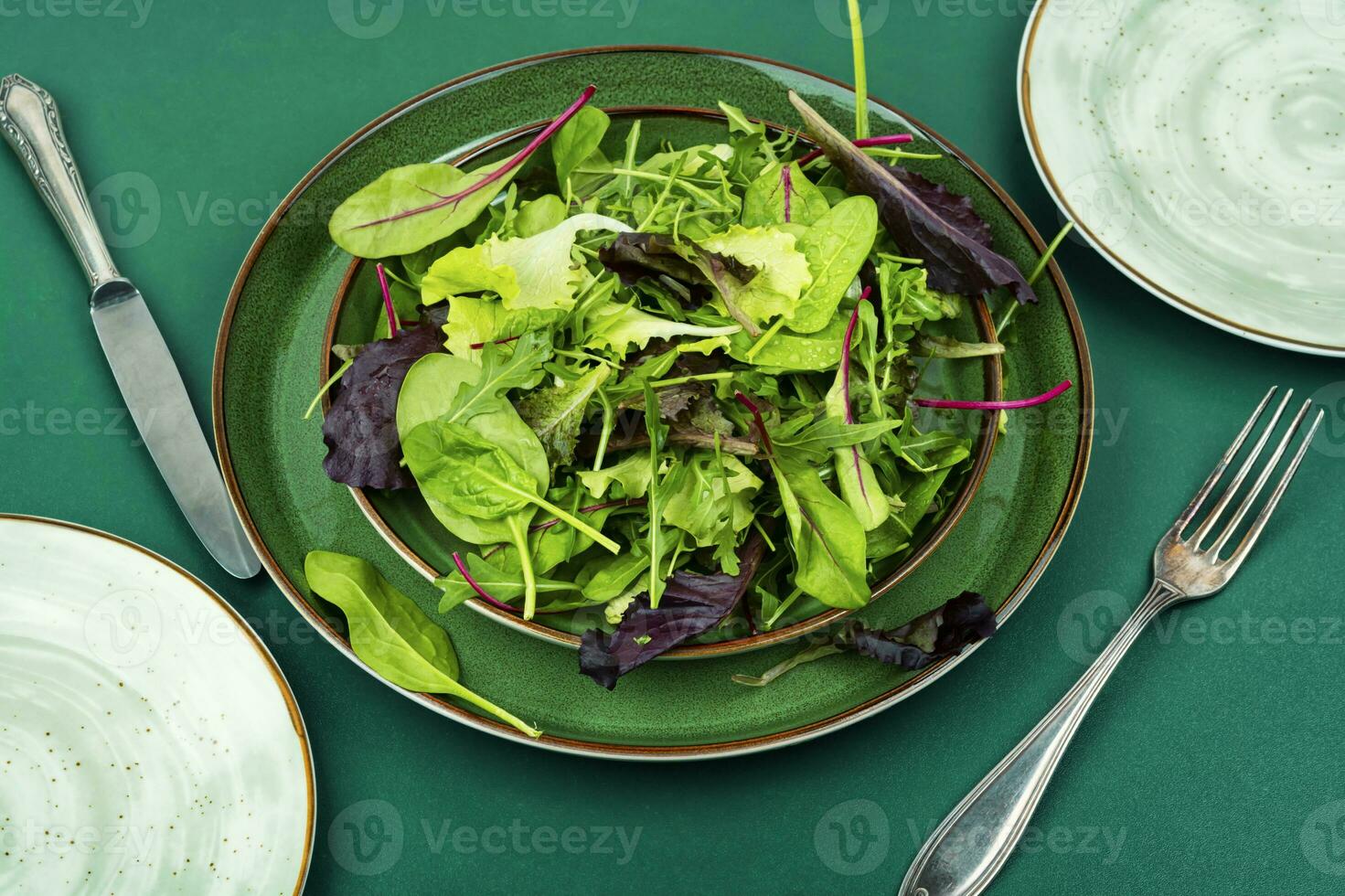 Greens lettuce vitamin salad photo