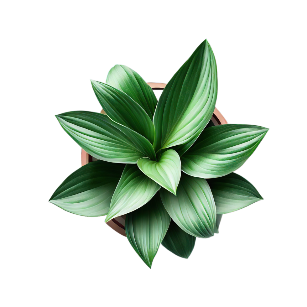 isolated potted plant and flowers for decoration, ai generated png