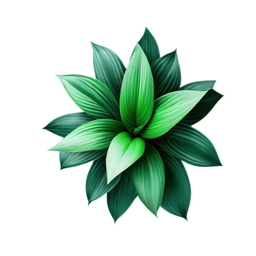 isolated potted plant and flowers for decoration, png