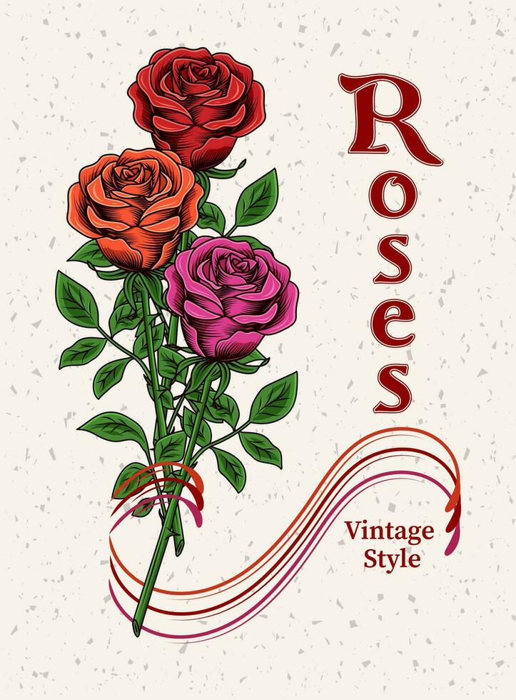 Vintage lush blooming red, magenta, orange roses with stem on textured background. Engraving style. Pre made greeting card. Isolated vector illustration