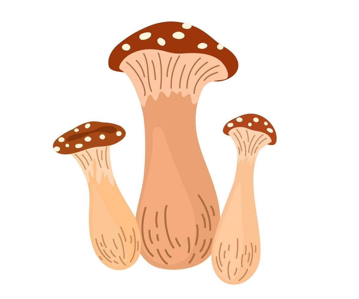 Amanita mushrooms set. Collection of Poisonous toadstool fly agaric. Decoration for greeting cards, posters, patches, prints for clothes, emblems. Vector Hand draw Illustration