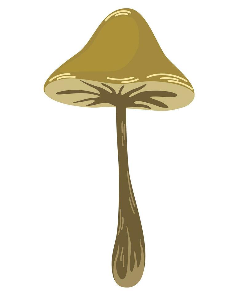 Toadstool. Poisonous Mushroom. Decoration for greeting cards, posters, patches, prints for clothes, emblems. Vector Hand draw Illustration