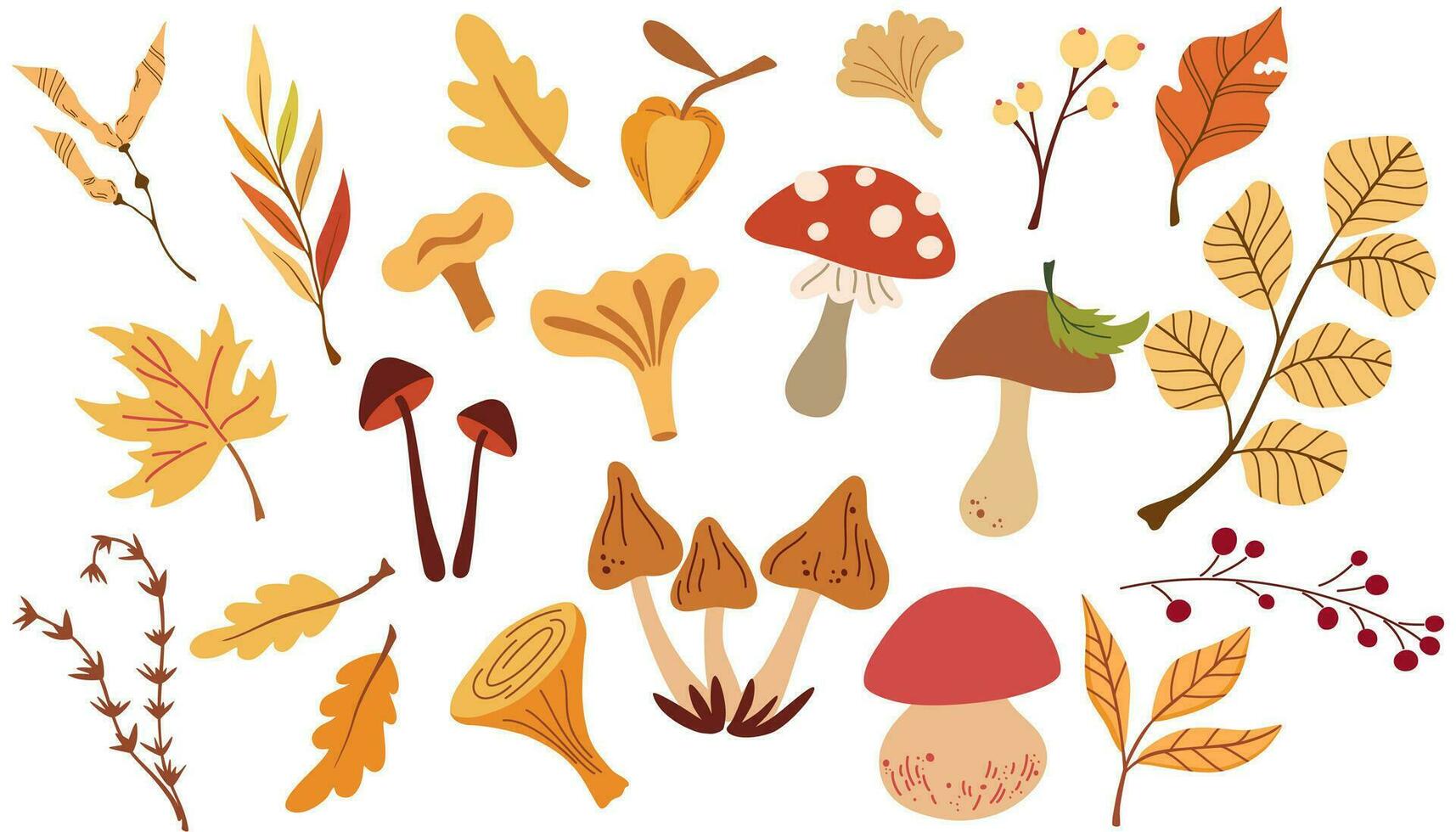 Autumn leaves, mushrooms and berries. Set of different mushrooms, fly agaric, white, toadstools, berries, maple leaves, acorns, dry herbs. Vector illustration