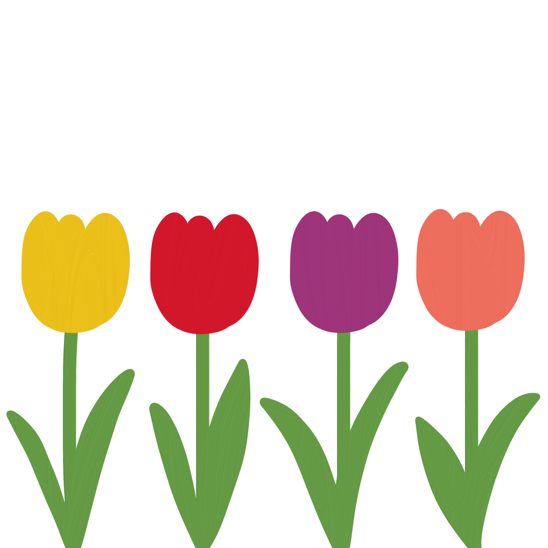 dibujo de tulipanes en un variedad de colores en transparente