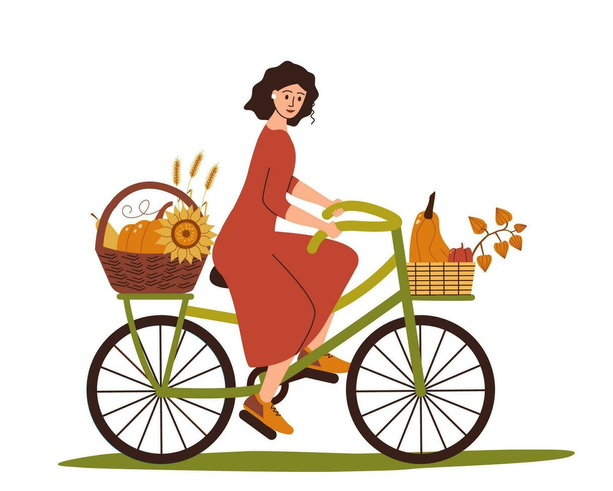 Girl rides bicycle with harvest in basket, harvest of autumn vegetables. vector
