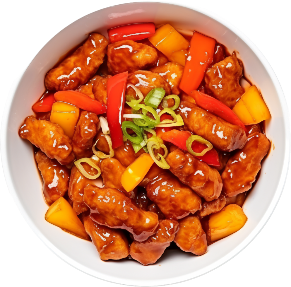 Sweet and sour pork with . png