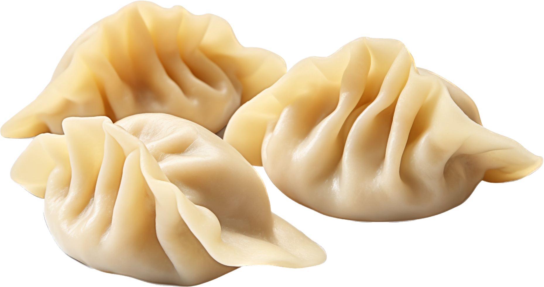 Dumplings with . png