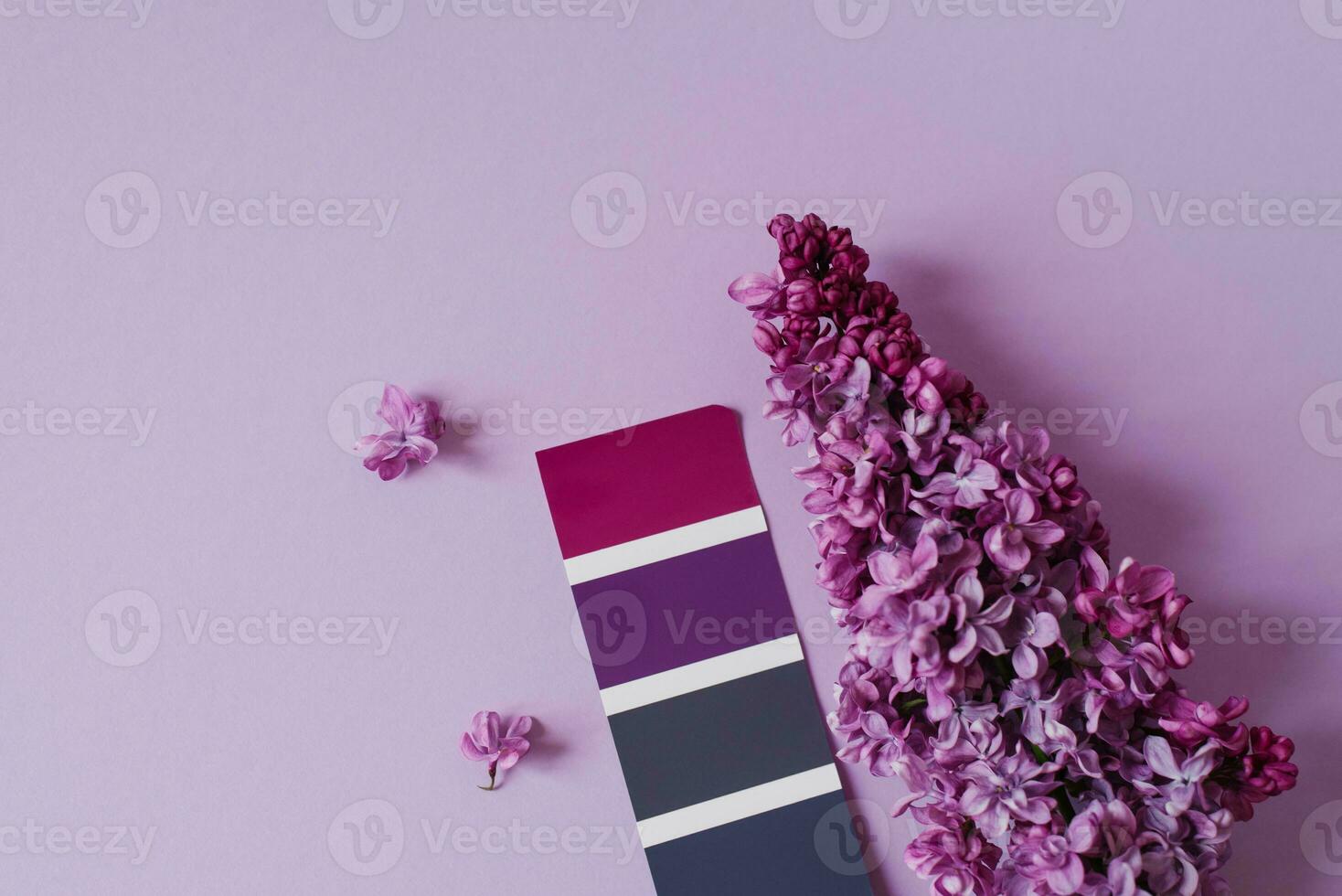 Color catalogue, an example of lilac on paper sample and lilac flowers. The color palette used by the designer to select the correct hue. View from above. photo