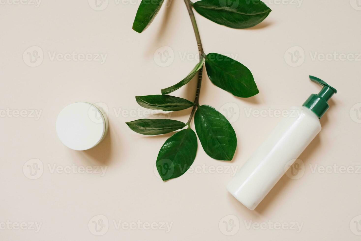 White cosmetic jar and a bottle of cream with a top view of the leaves of plants, a mock-up of the product design. Natural organic cosmetics photo