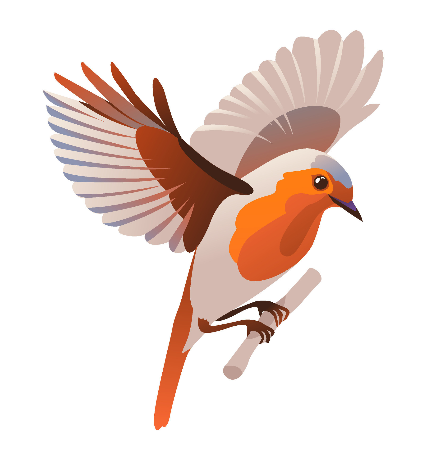 Bird Flying European Robin Cartoon Vector Illustration On A White bird-flying-european-robin-cartoon-vector-illustration-on-a-white