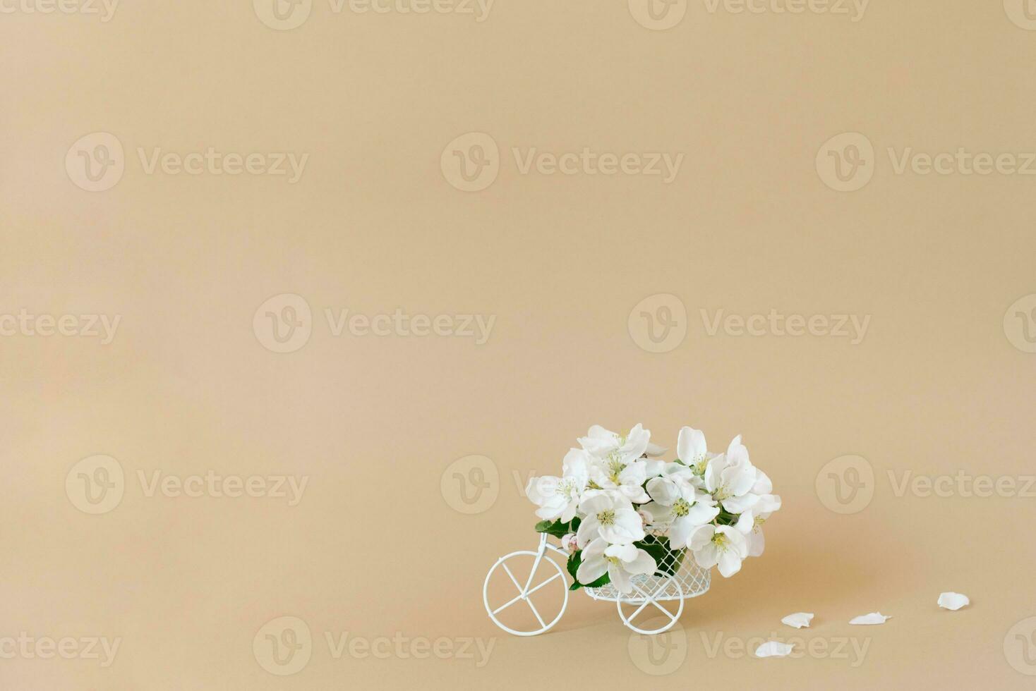 A white retro toy bicycle delivering white apple blossoms on a beige background. Valentine's day card, birthday gift, Women's Day. Delivery of holiday goods. Spring concept with copy space photo