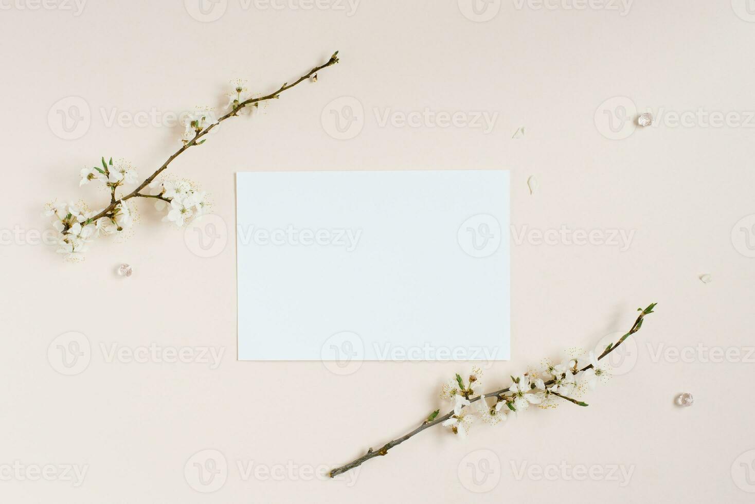 Top view of blank notepad among spring apple flowers photo