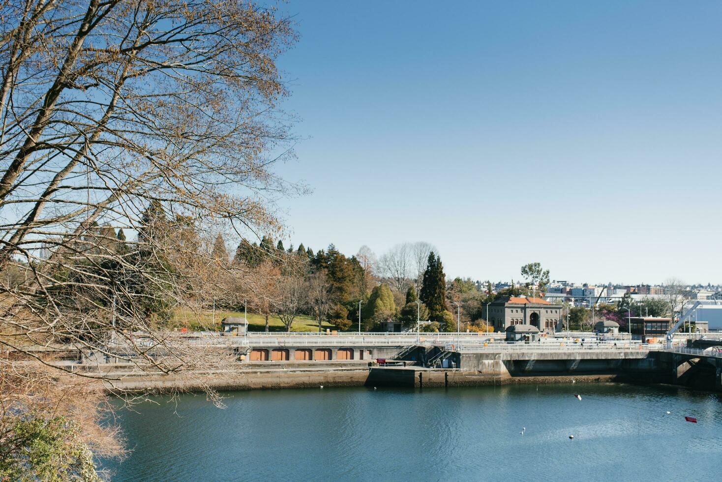 Seattle, USA. March 2022. View of the Hiram Chittenden Locks, or Ballard Lacks, a complex of looks at the west end of Salmon Bay. Washington's Lake Washington Ship Canal promenade photo