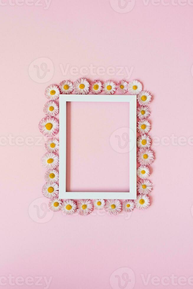 Beautiful floral arrangement. An empty text frame, daisy flowers on a pastel pink background. Valentine's Day, Easter, Birthday, Happy Women's Day, Mother's Day. Flat lay, top view, copy space photo