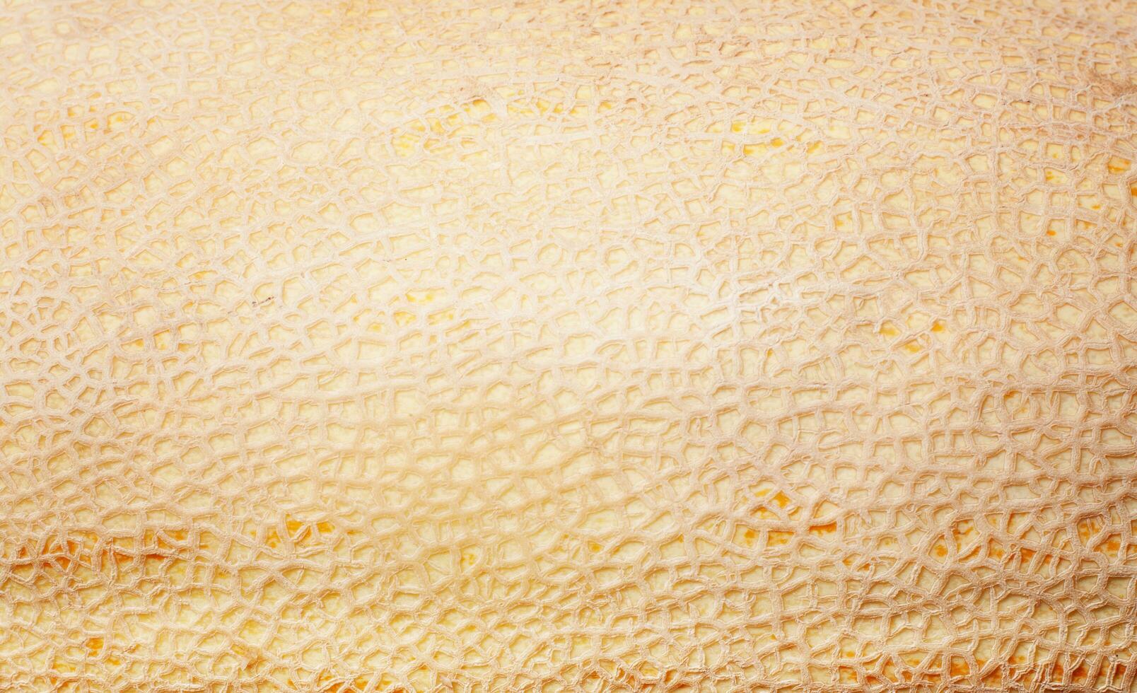 Ripe sweet melon fruit texture background. Close up of a ripe fresh melon fruit pattern texture. Yellow melon texture backdrop. Melon seamless texture photo