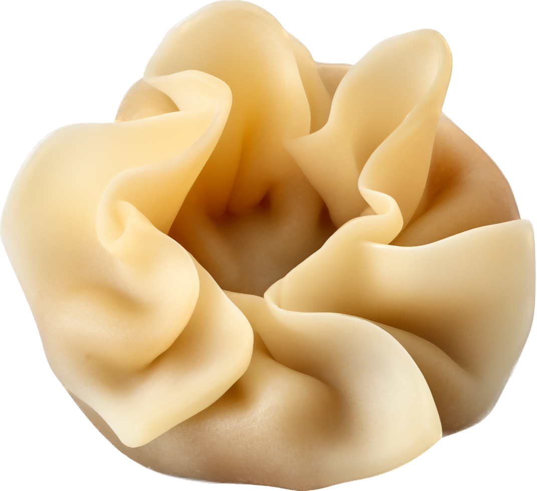 Wonton With 25269701 PNG wonton-with-25269701-png