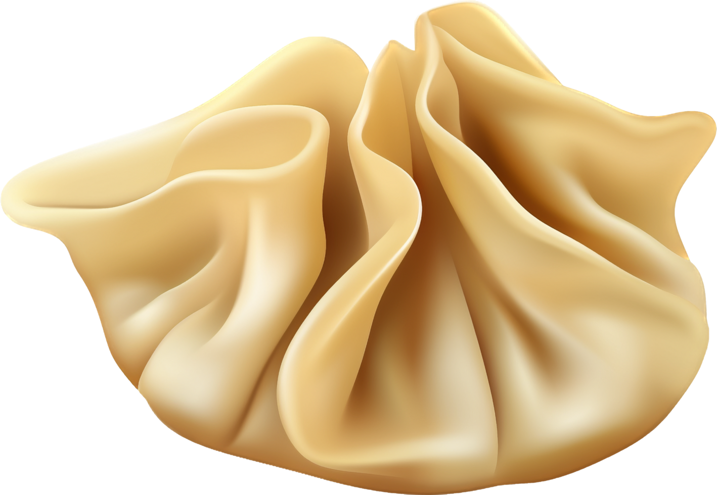 Wonton with . png