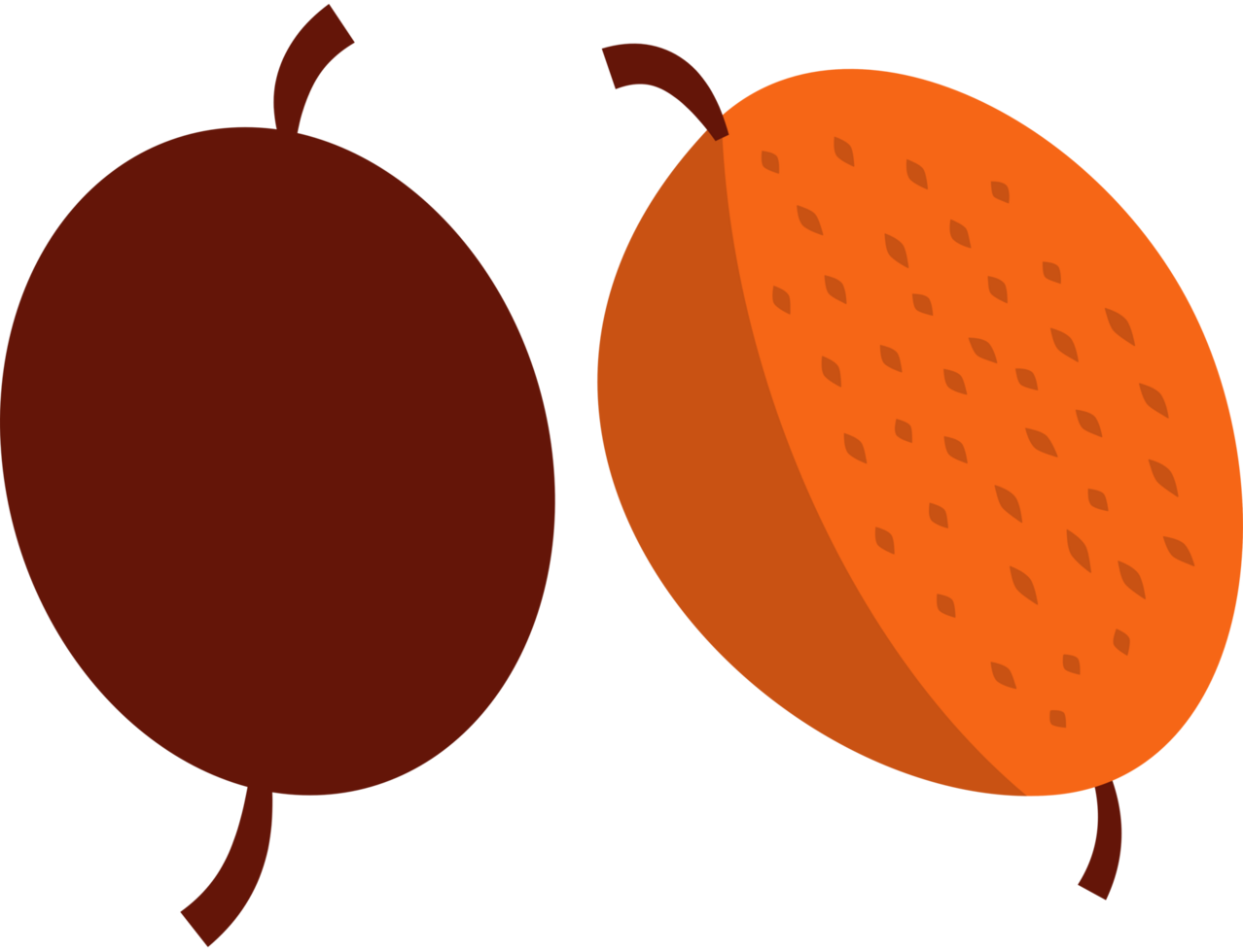 Oak acorns, pine cones, fruits, Autumn fall decoration element, flat style illustration. png