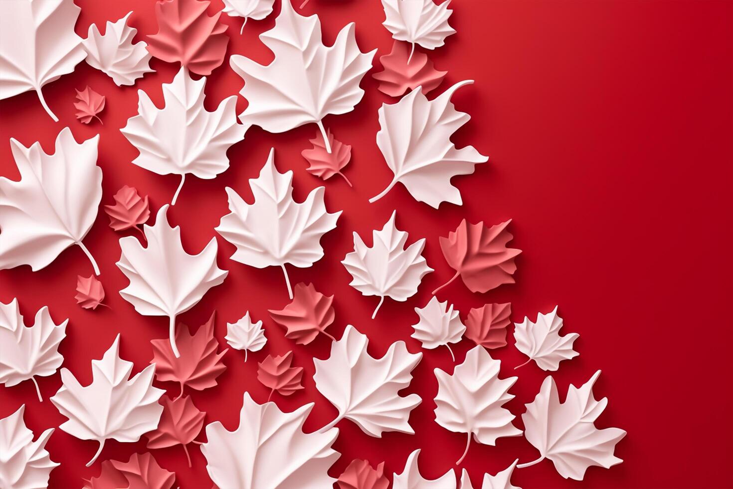 Canadian flag white leafs on red background. Flat lay, top view. copy space. photo