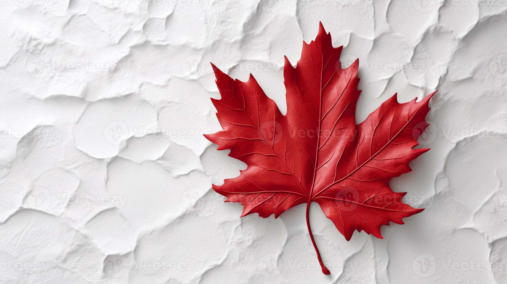 Happy Canada Day red silk maple leaf on white textured wall, copy space. photo