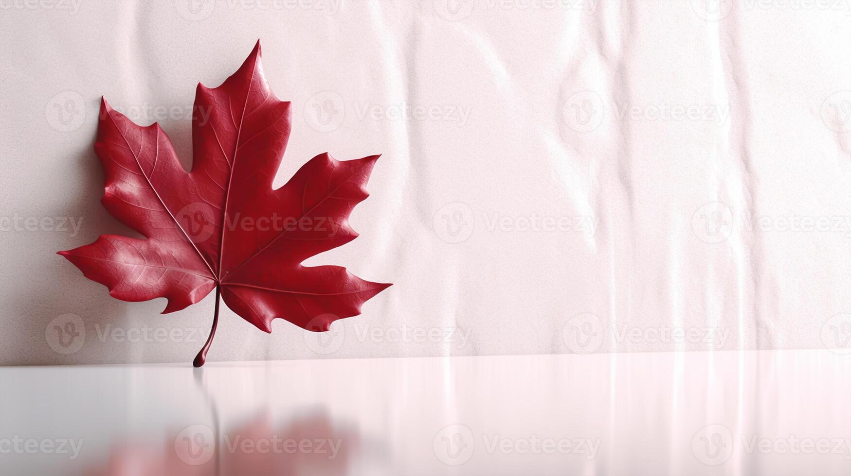 Happy Canada Day red silk maple leaf on white textured wall, copy space. photo