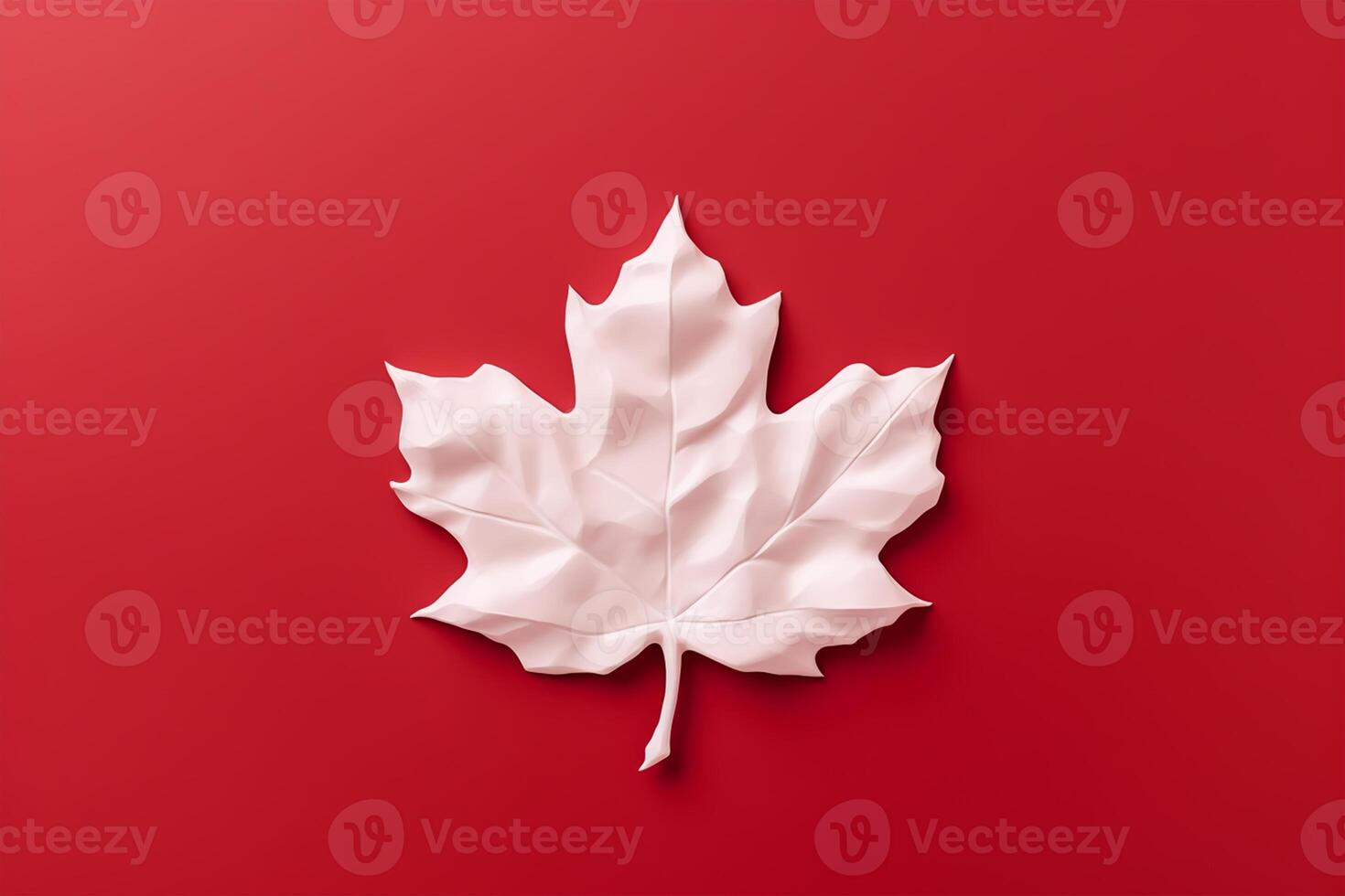 Canadian flag white leaf on red background. Flat lay, top view. copy space. photo