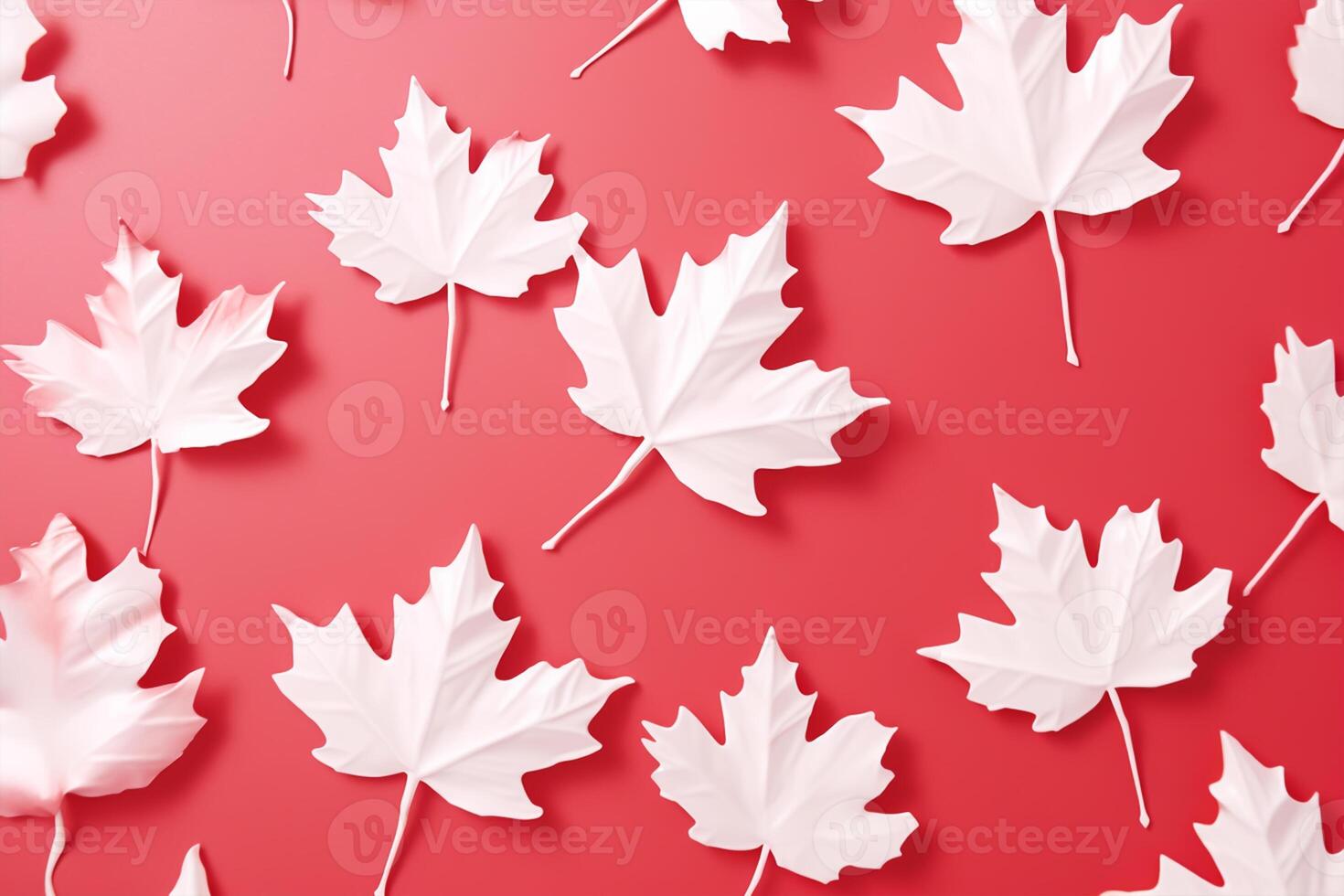 Canadian flag white leafs on red background. Flat lay, top view. copy space. photo