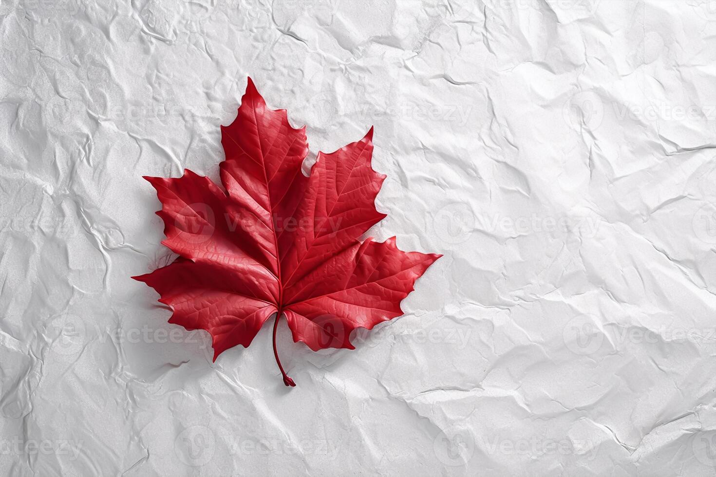 Happy Canada Day red silk maple leaf on white textured wall, copy space. photo