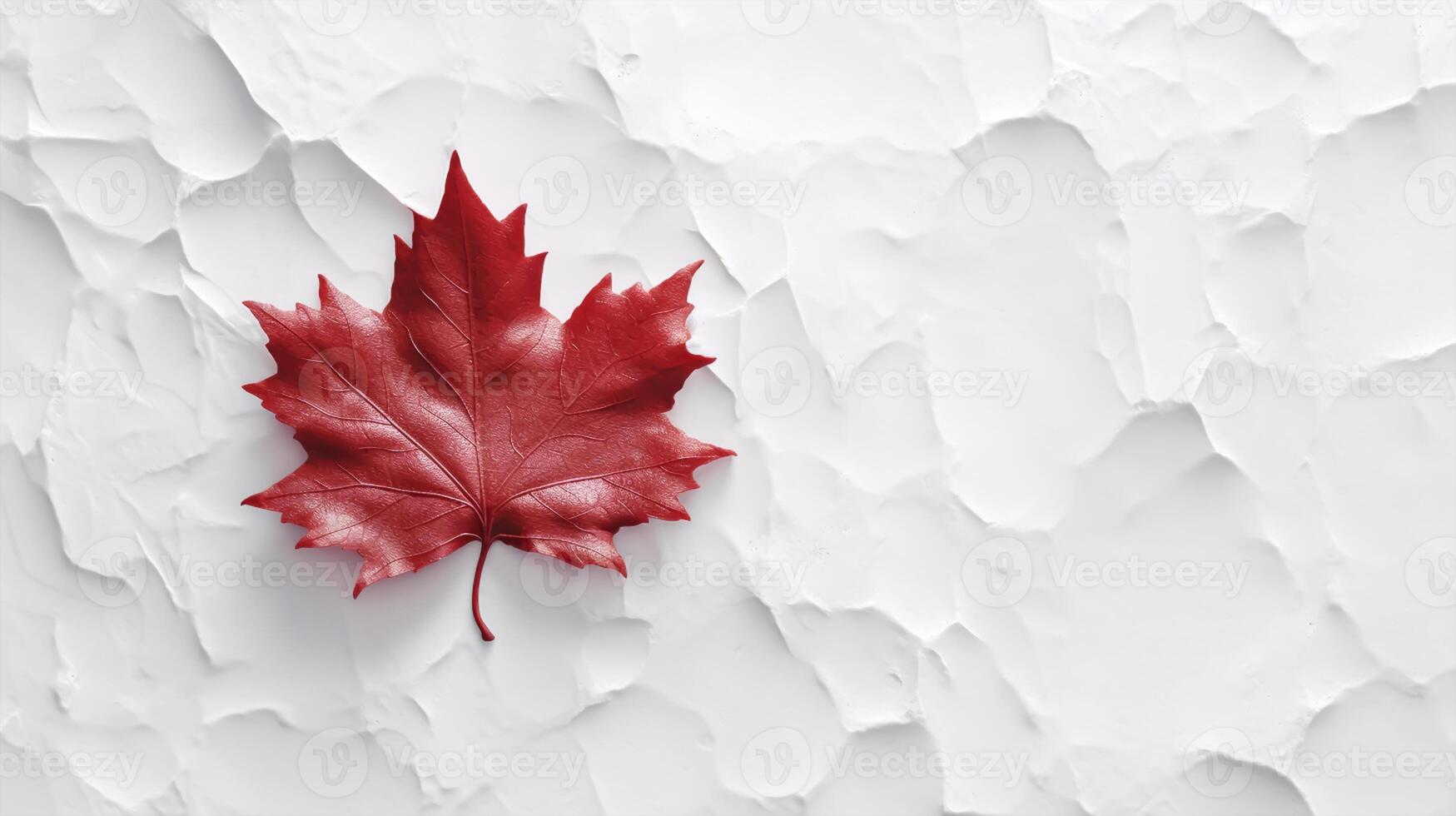 Happy Canada Day red silk maple leaf on white textured wall, copy space. photo