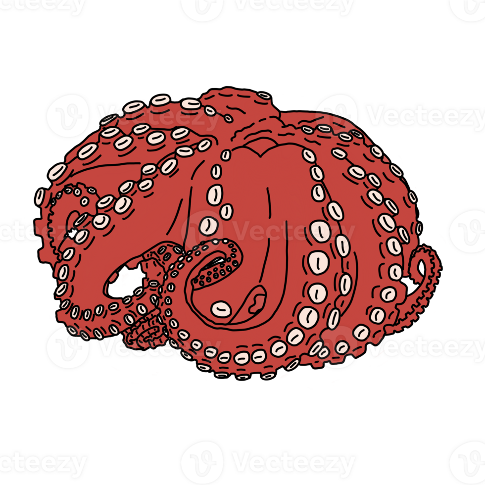 Giant red octopus png