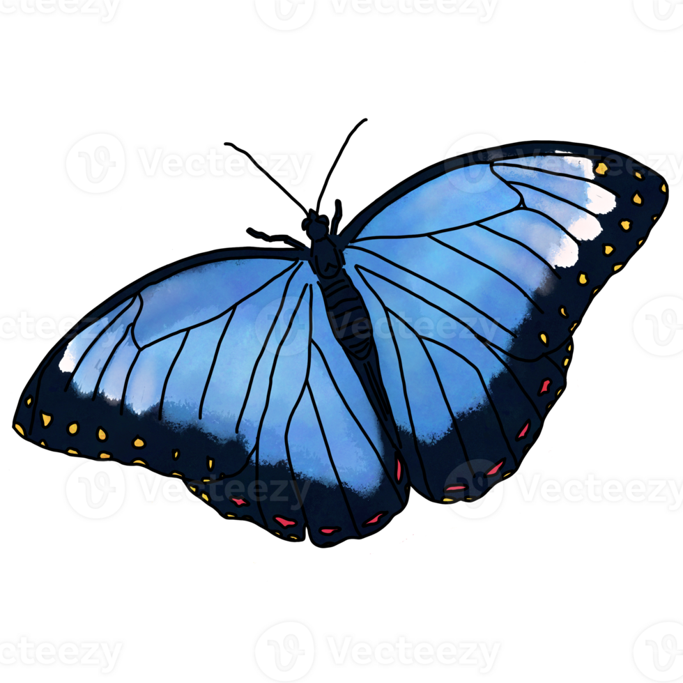 Colorful butterfly flying 25271993 PNG