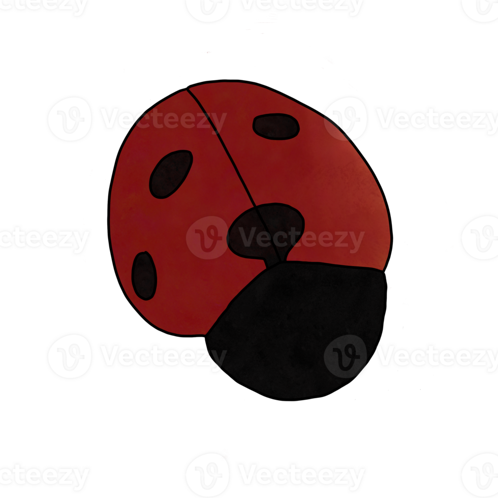 Red Colorful bug png