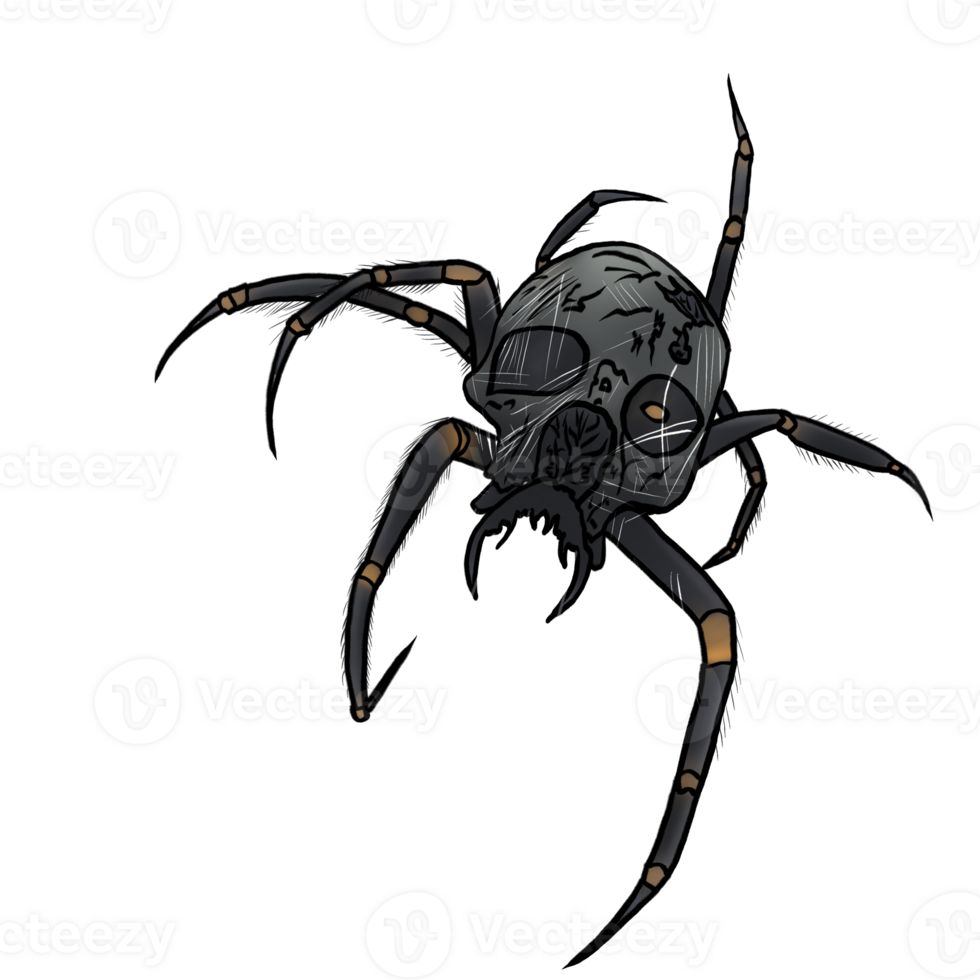 Halloween scary spider png