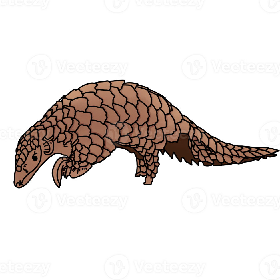 Brown wild pangolin png