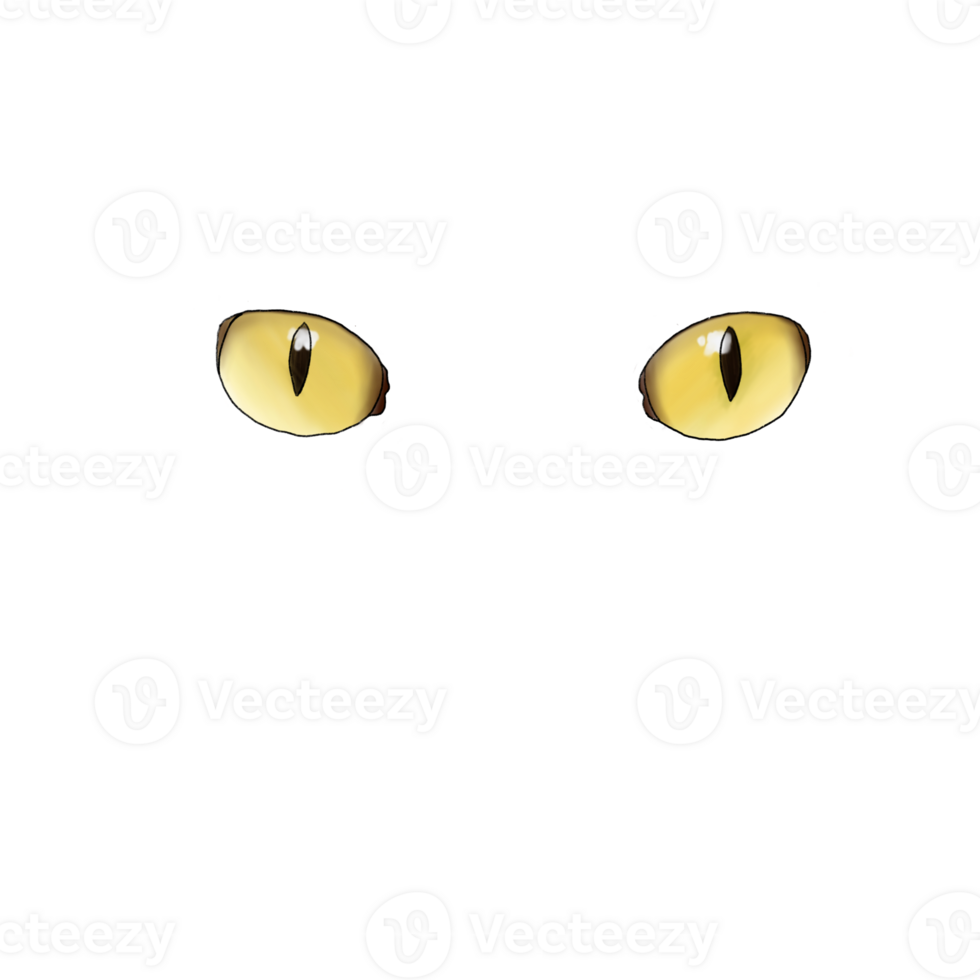 Cat eyes staring 25272045 PNG