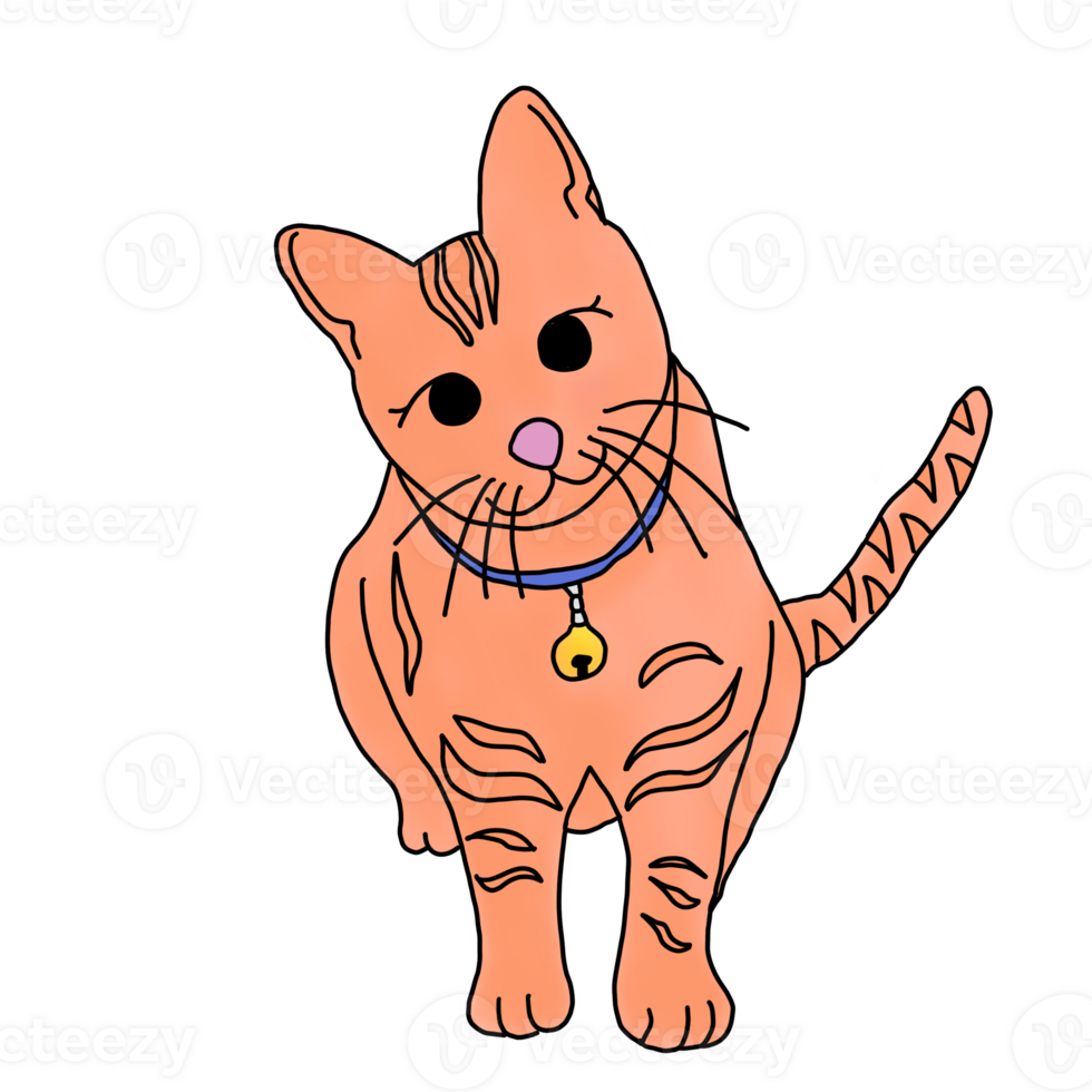 Cute orange cat 25272051 PNG