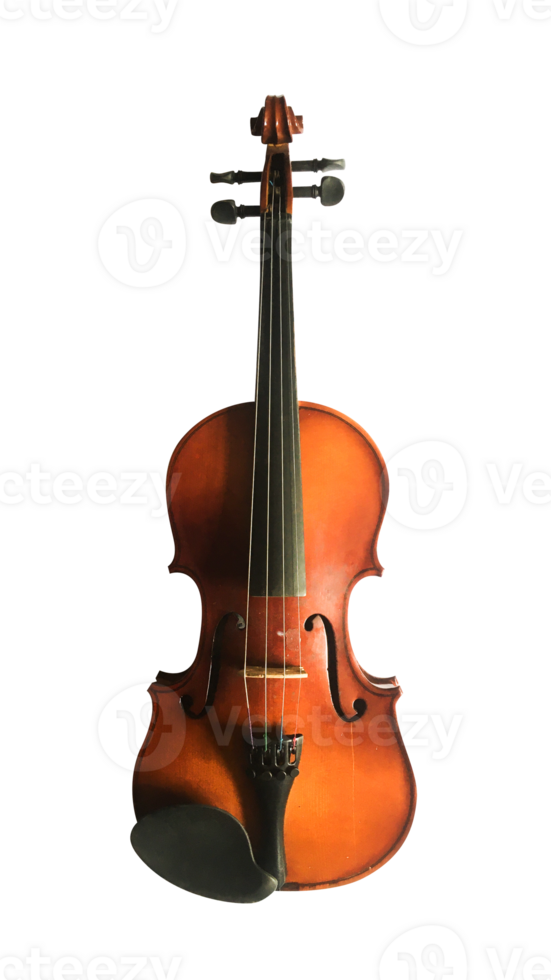 the violin isolated png