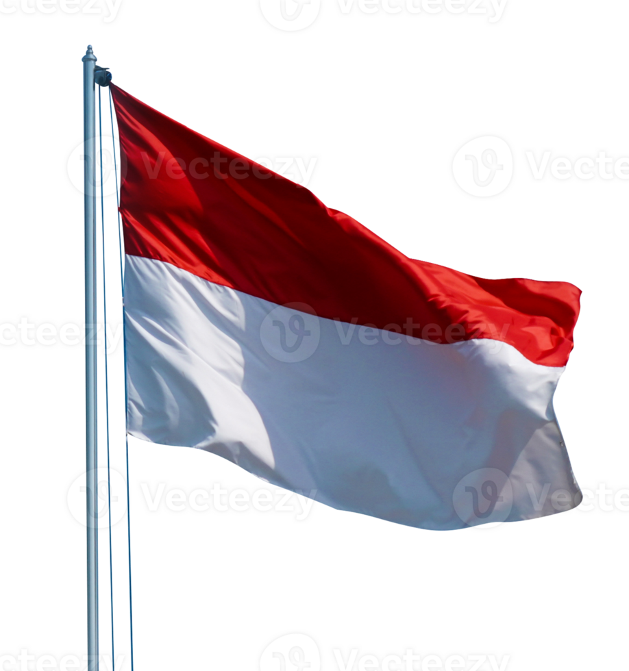 Indonesian flag isolated 25272467 PNG