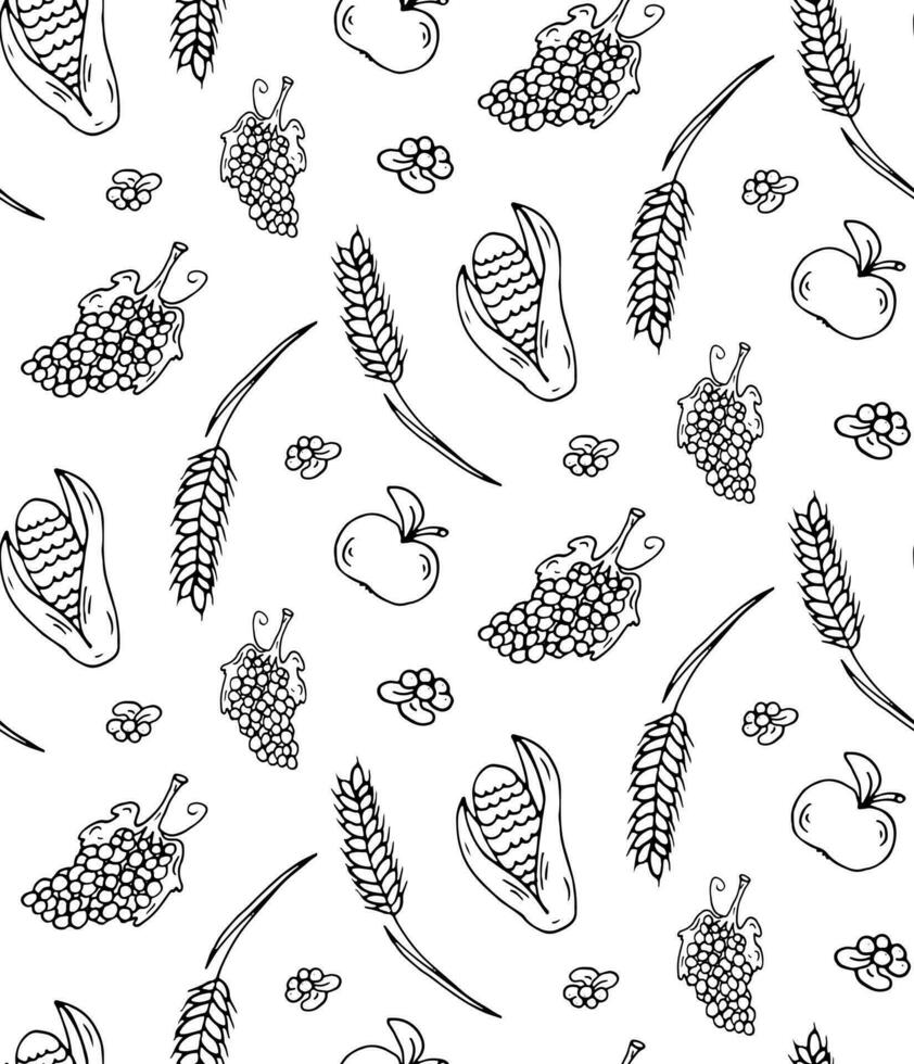 Black seamless pattern with autumn fruit and vegetable. Apple, wheat, corn, grape, blueberry. Vector. vector