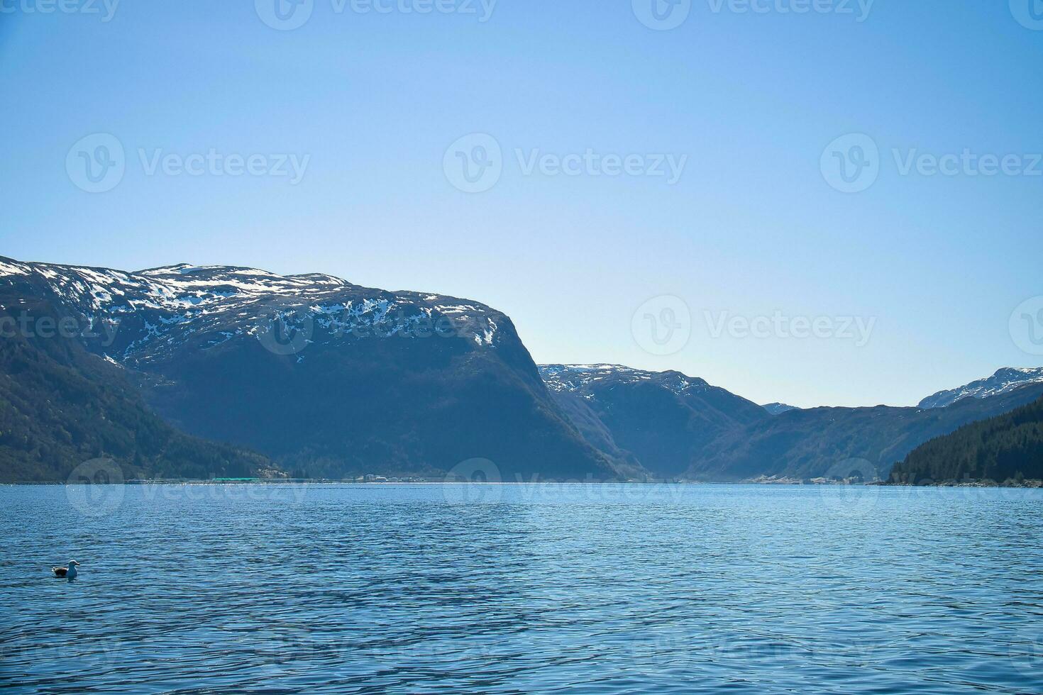 Fjord with view of mountains and fjord landscape in Norway. Landscape with blue sky photo