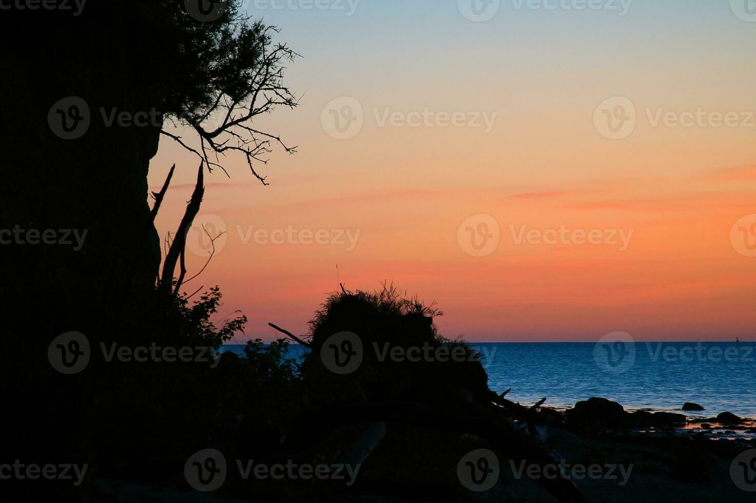 Steep coast on the island of Poel at sunset with a view of the pastel sky photo