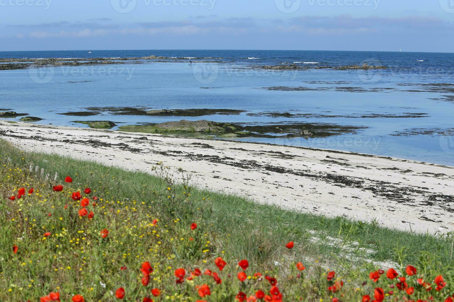 Le Croisic wild coast photo