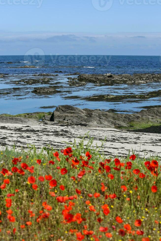 Le Croisic wild coast photo